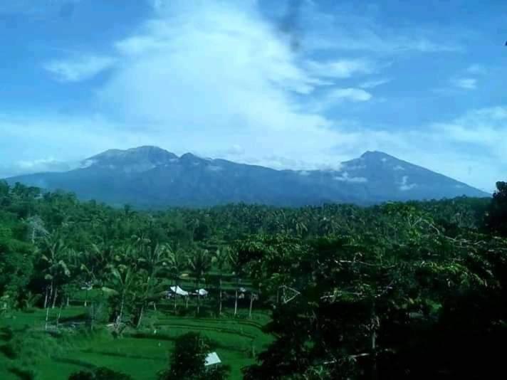 Girang Rinjani Bungalows テテバトゥ エクステリア 写真