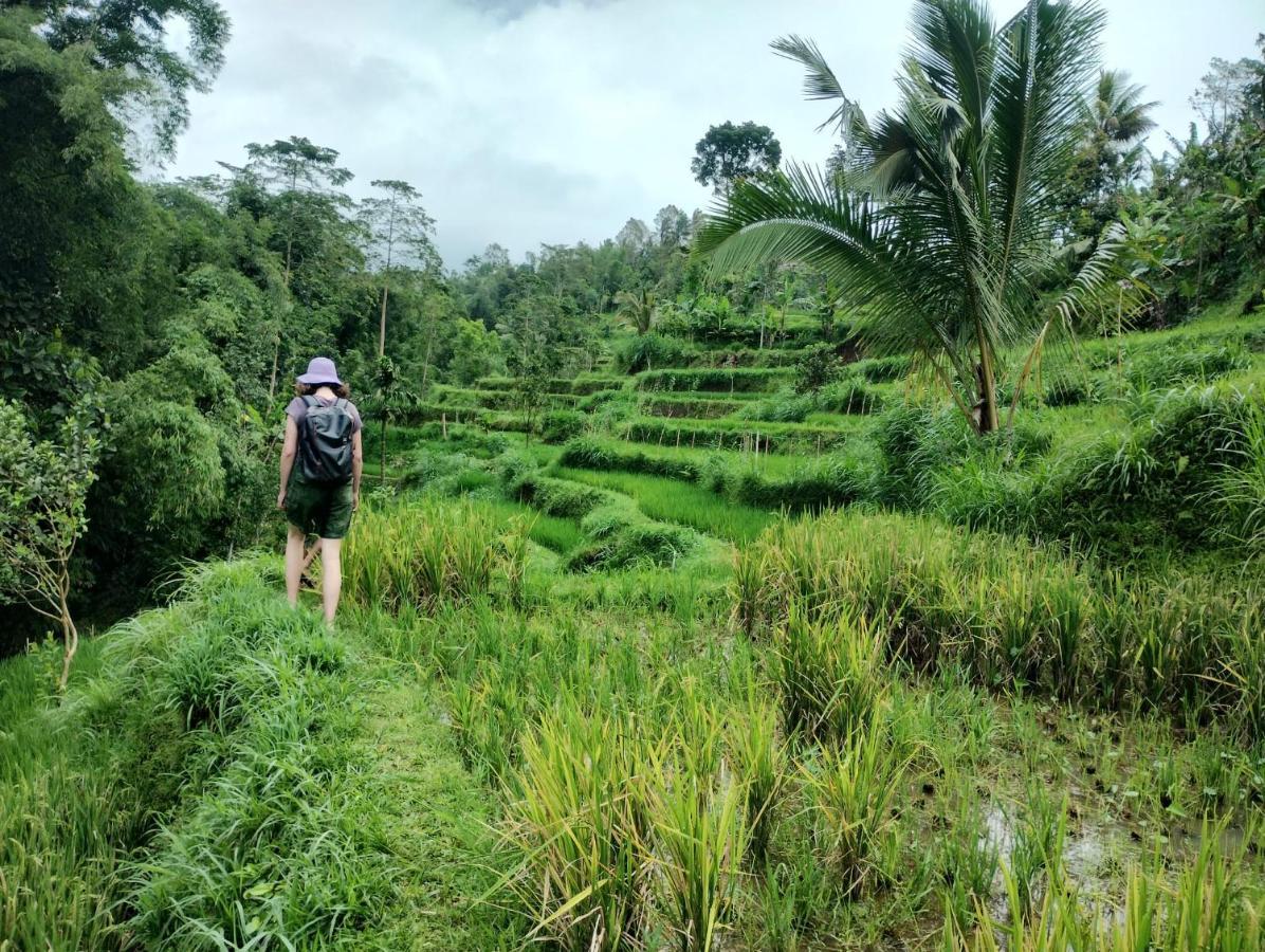 Girang Rinjani Bungalows テテバトゥ エクステリア 写真