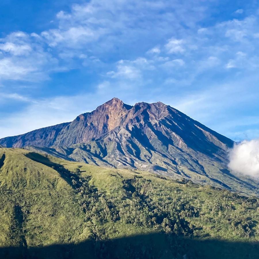 Girang Rinjani Bungalows テテバトゥ エクステリア 写真