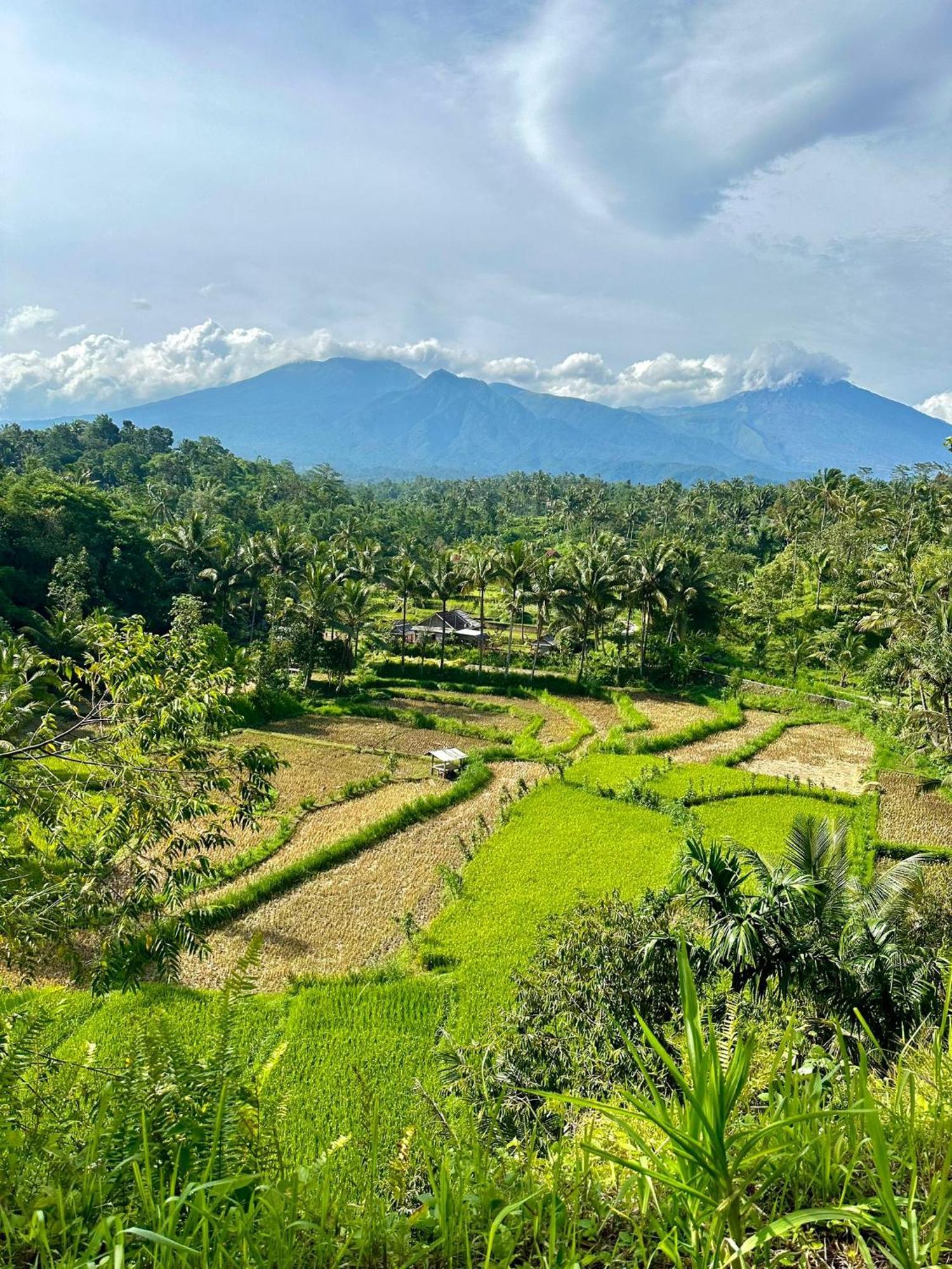 Girang Rinjani Bungalows テテバトゥ エクステリア 写真