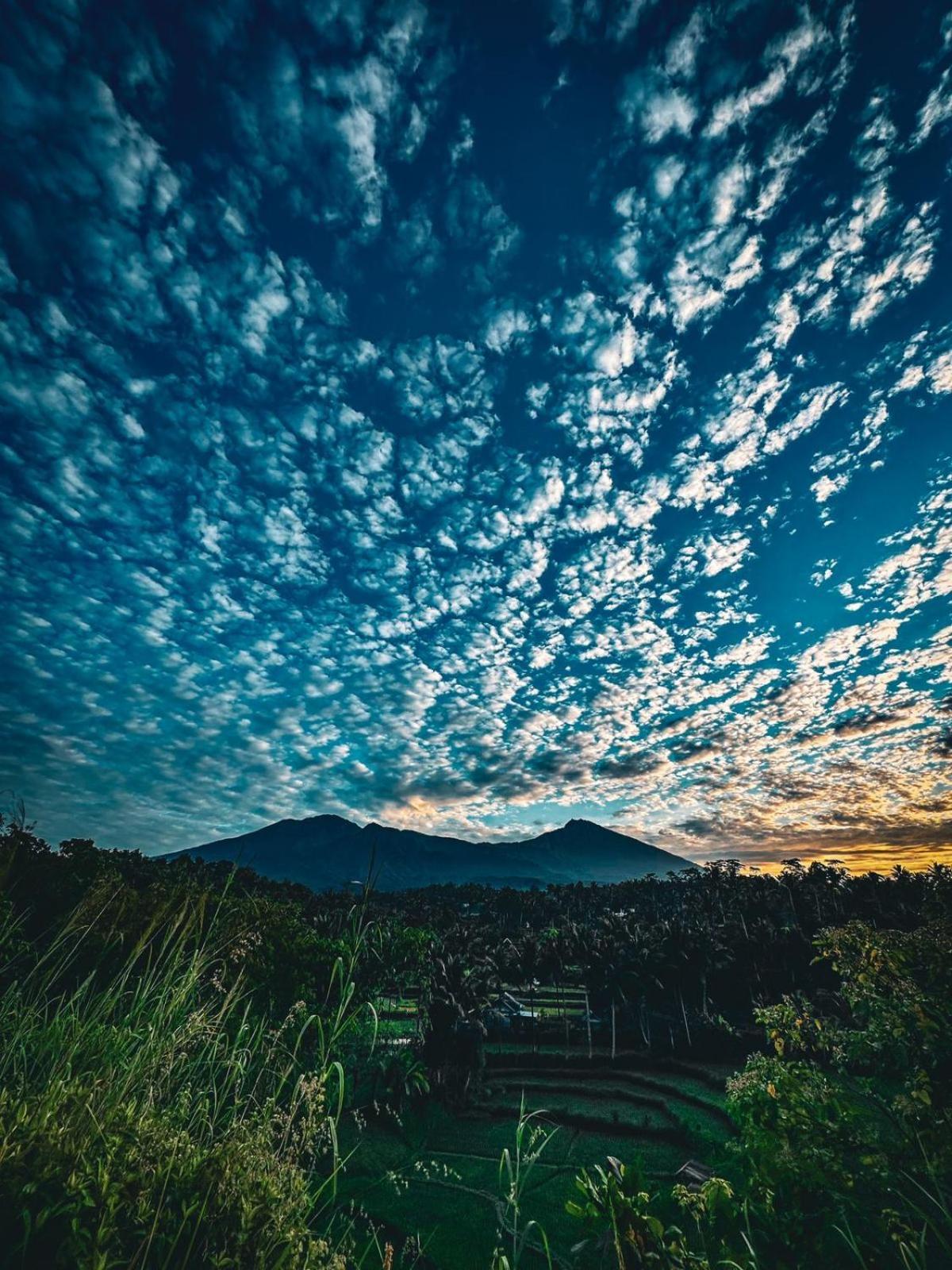 Girang Rinjani Bungalows テテバトゥ エクステリア 写真