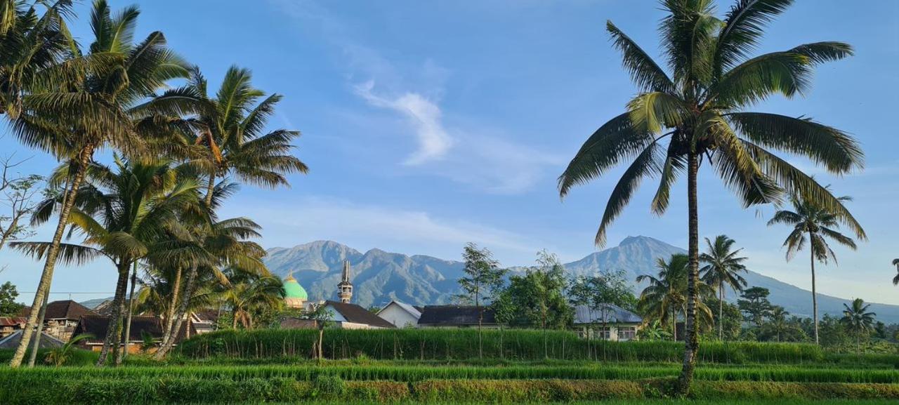 Girang Rinjani Bungalows テテバトゥ エクステリア 写真