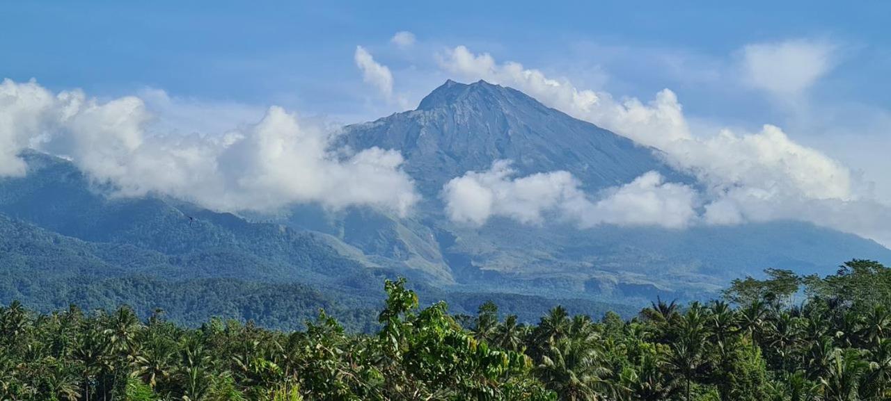 Girang Rinjani Bungalows テテバトゥ エクステリア 写真