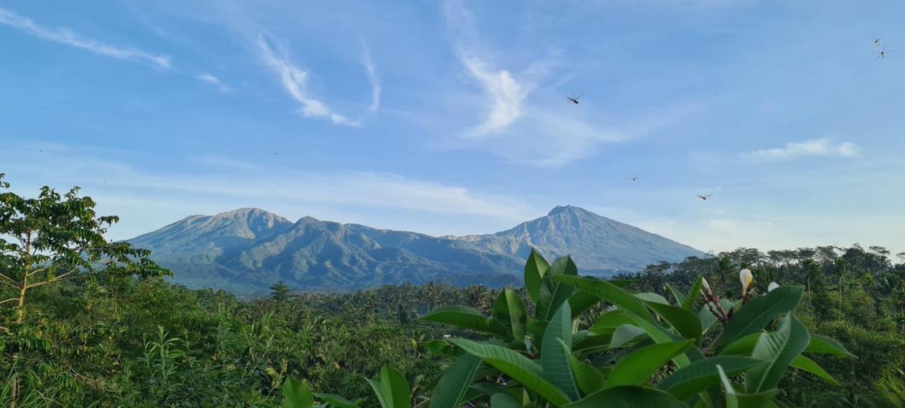 Girang Rinjani Bungalows テテバトゥ エクステリア 写真