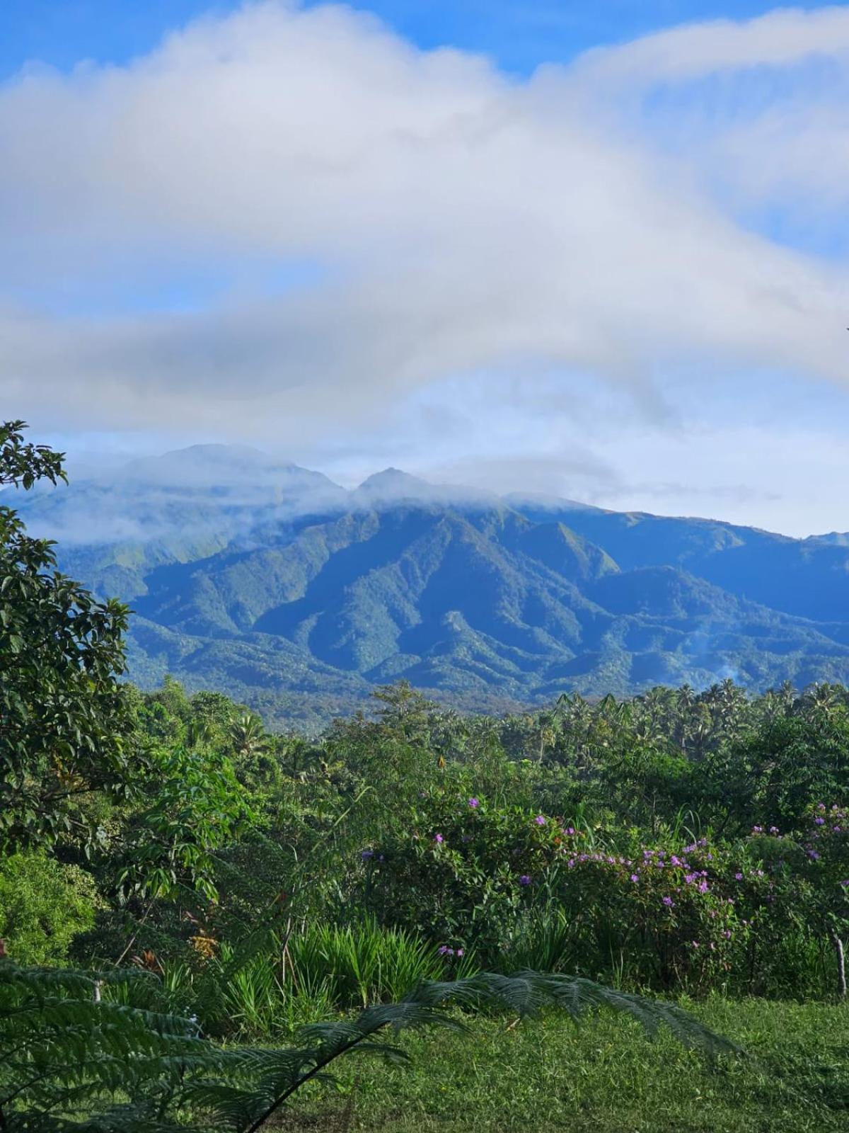 Girang Rinjani Bungalows テテバトゥ エクステリア 写真