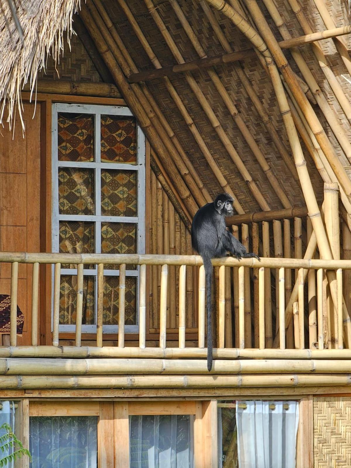 Girang Rinjani Bungalows テテバトゥ エクステリア 写真